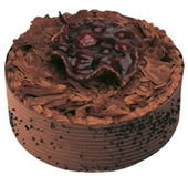 6 ile 9 kişilik Doğum günü yaş pastası siparişi çikolatalı yaş pasta